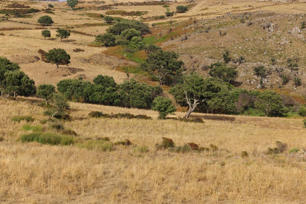 Agriturismo Rocca Su Moru Villa Arbus Dış mekan fotoğraf