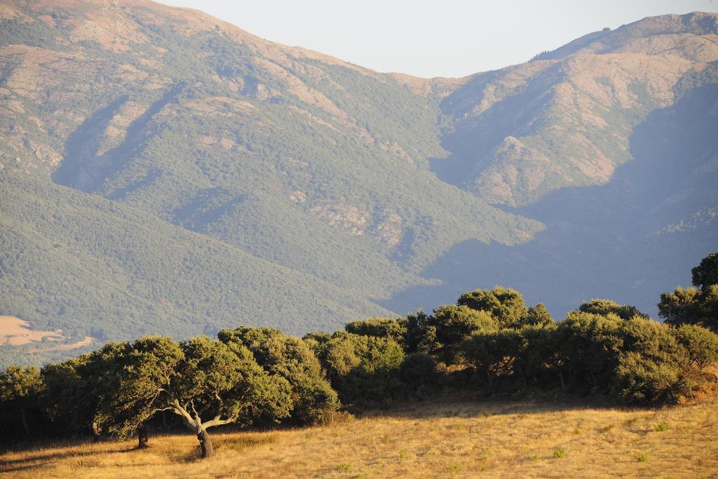 Agriturismo Rocca Su Moru Villa Arbus Dış mekan fotoğraf