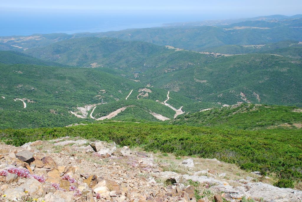 Agriturismo Rocca Su Moru Villa Arbus Dış mekan fotoğraf