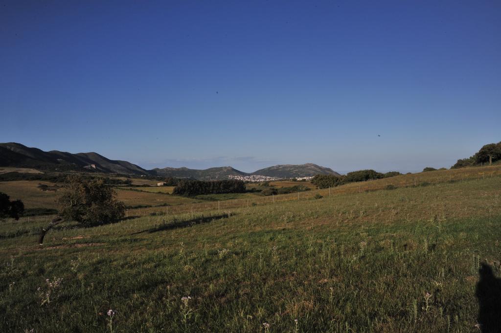 Agriturismo Rocca Su Moru Villa Arbus Dış mekan fotoğraf